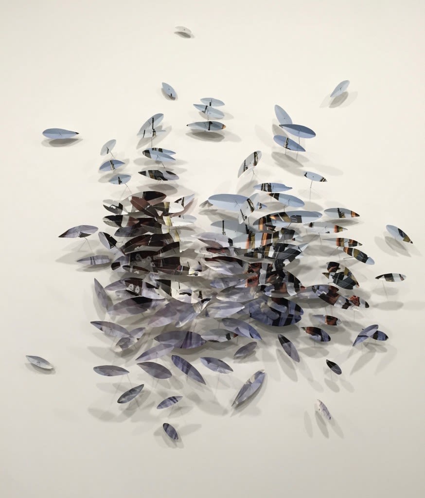 Kirk Maxson – Gardens of Paradise