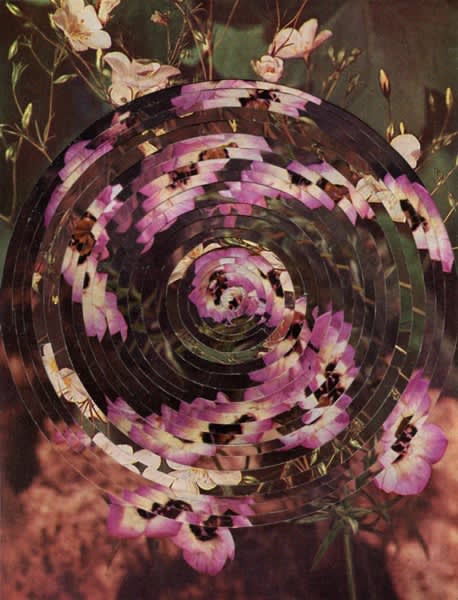 Alexis Anne Mackenzie – Never Odd or Even