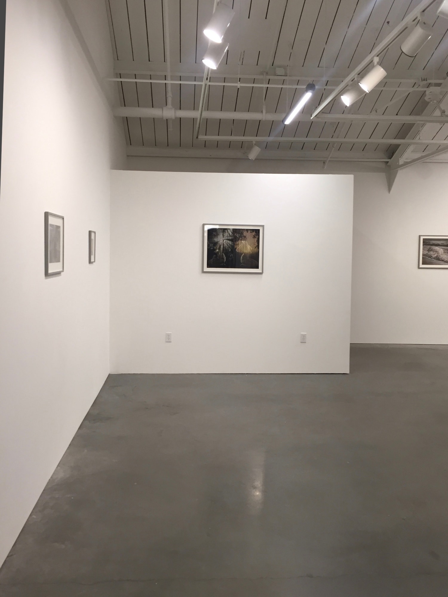 Alexis Anne Mackenzie – Never Odd or Even