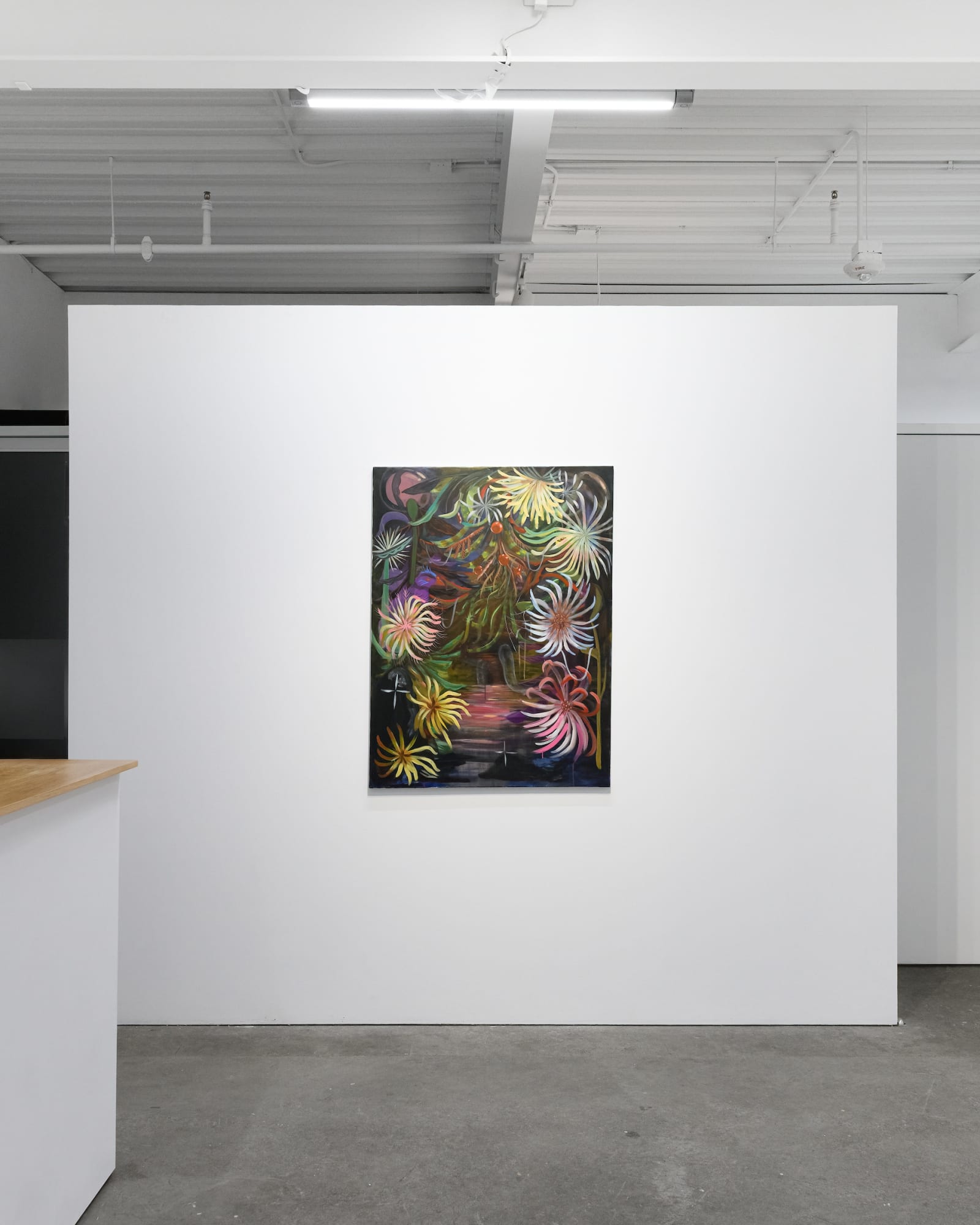 As a Seed Imagines a Flower