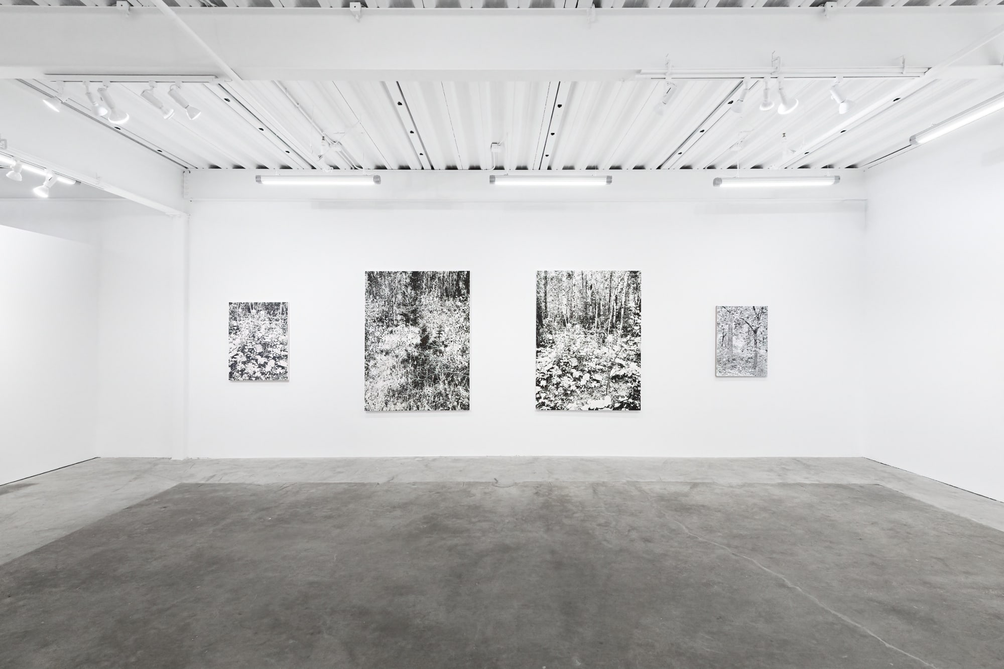 11 Landscapes - James Chronister, Bryson Gill, Martin Machado, Chris Russell & William Swanson