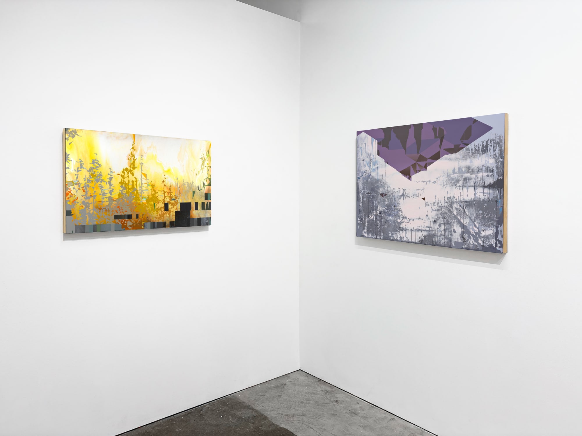 William Swanson Project Space Show