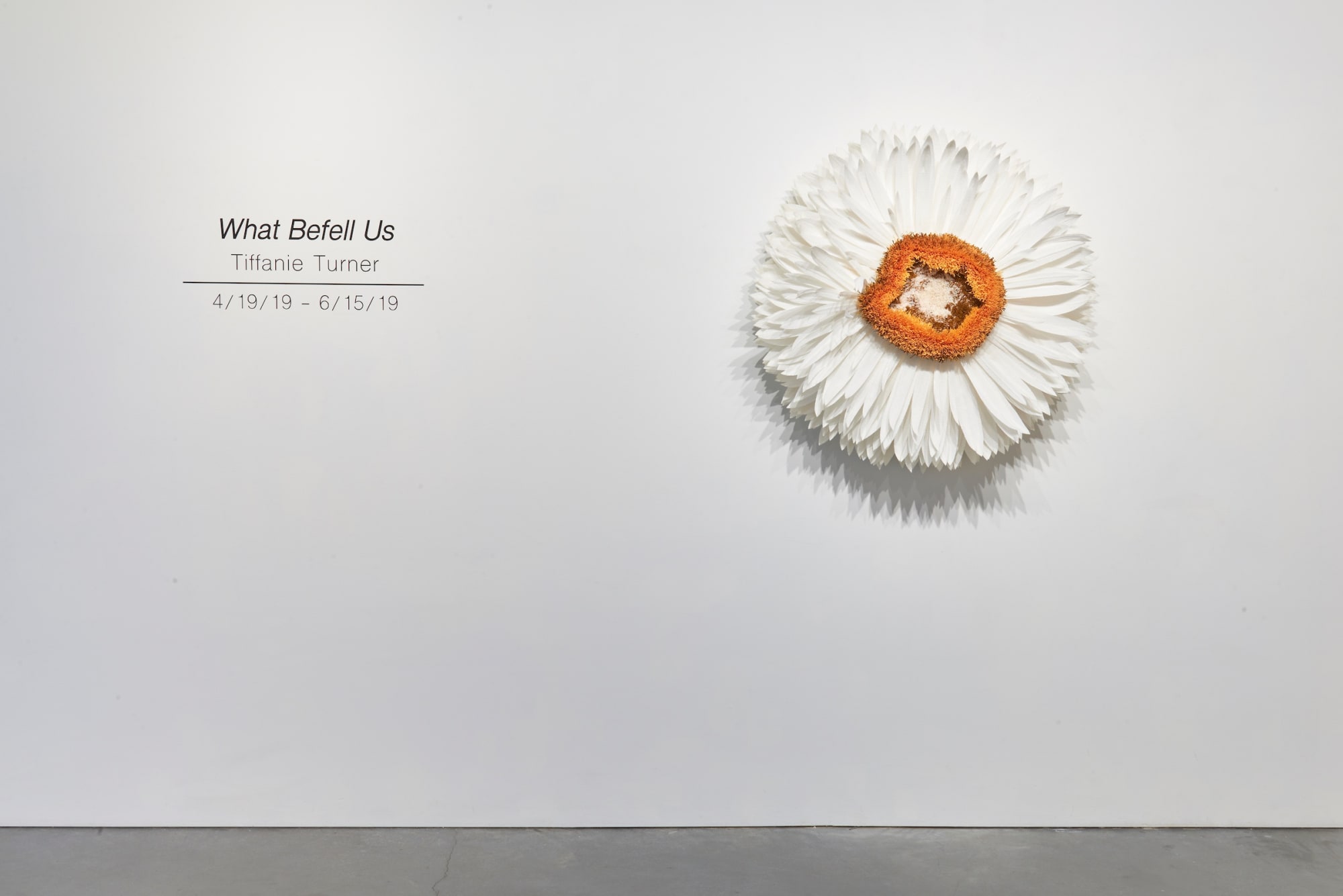 Tiffanie Turner - What Befell Us