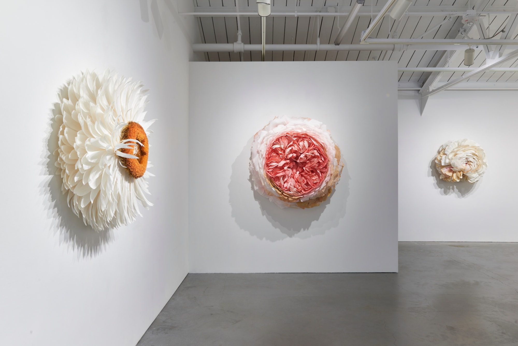 Tiffanie Turner - What Befell Us