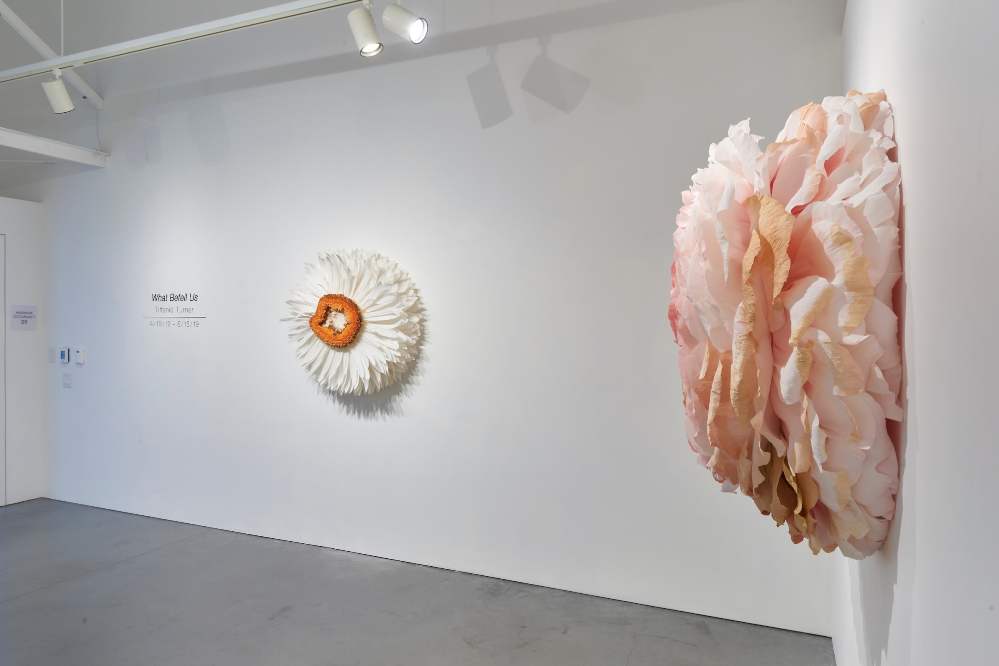 Tiffanie Turner - What Befell Us