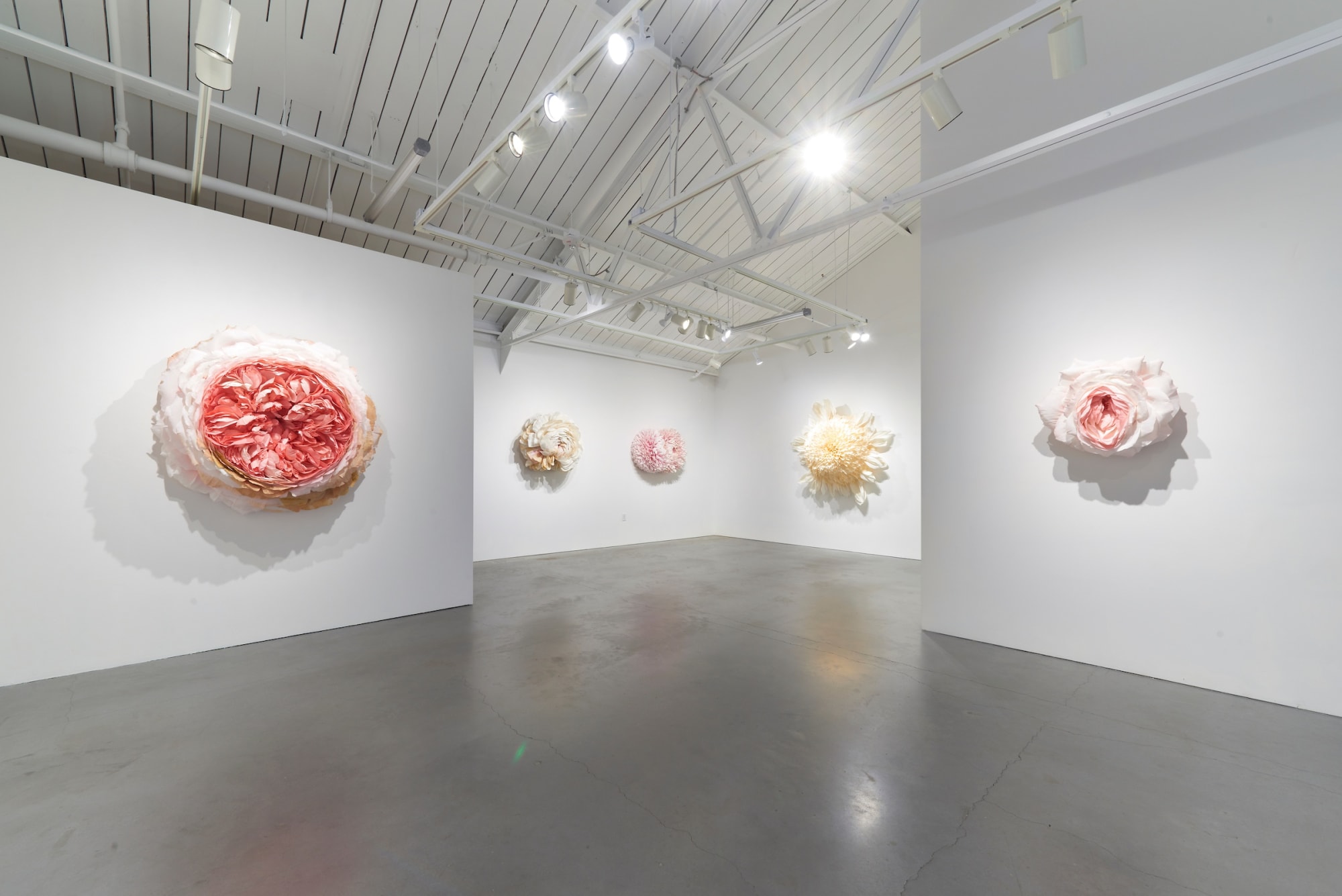 Tiffanie Turner - What Befell Us