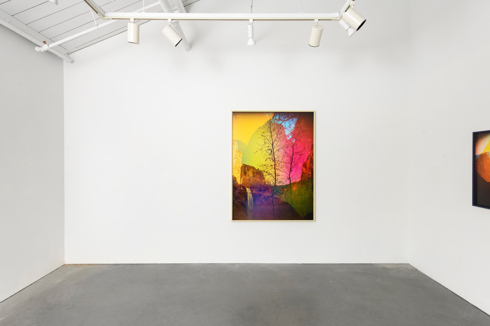 Terri Loewenthal – Havasu Falls