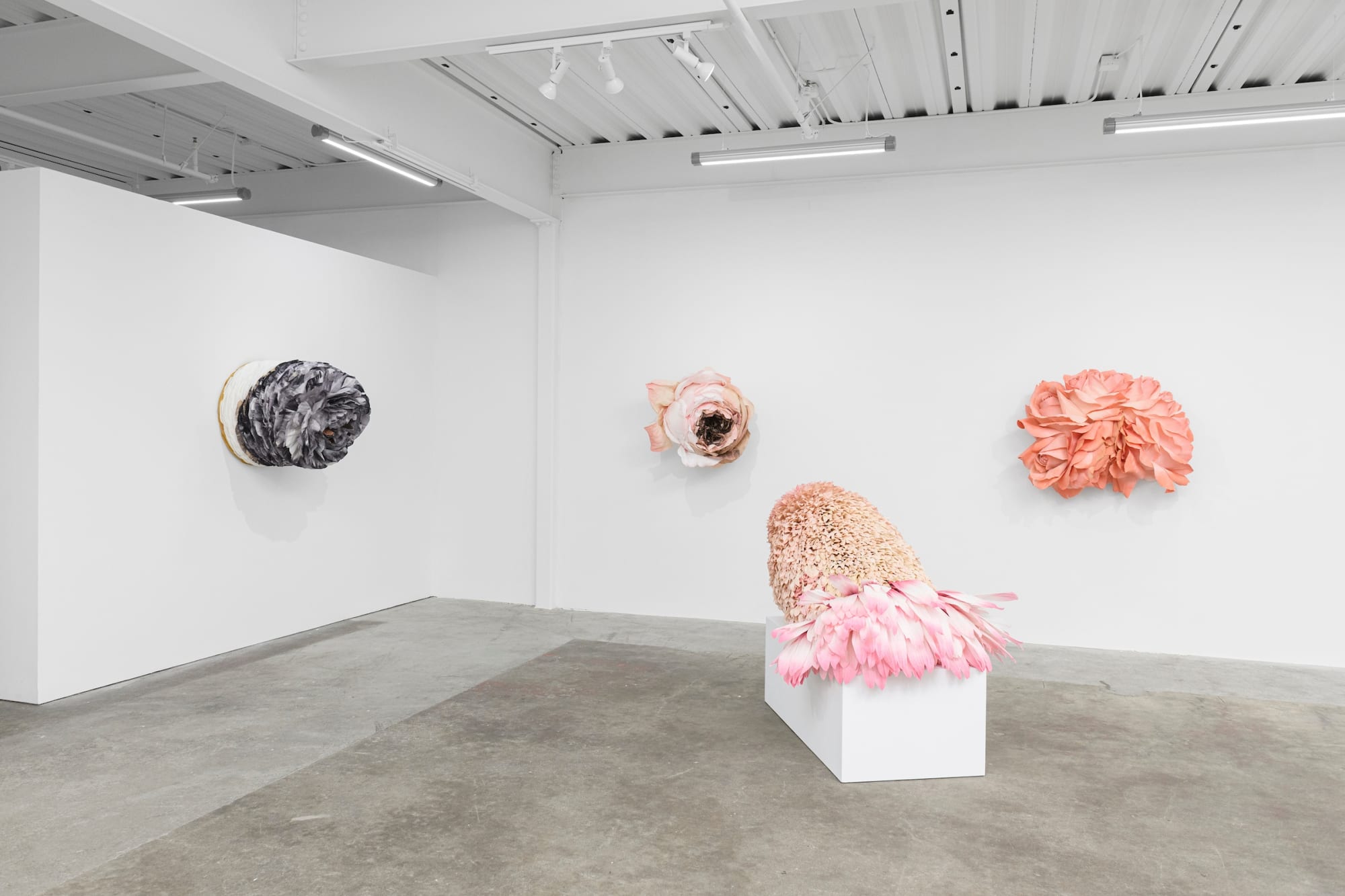 Tiffanie Turner – American Grown