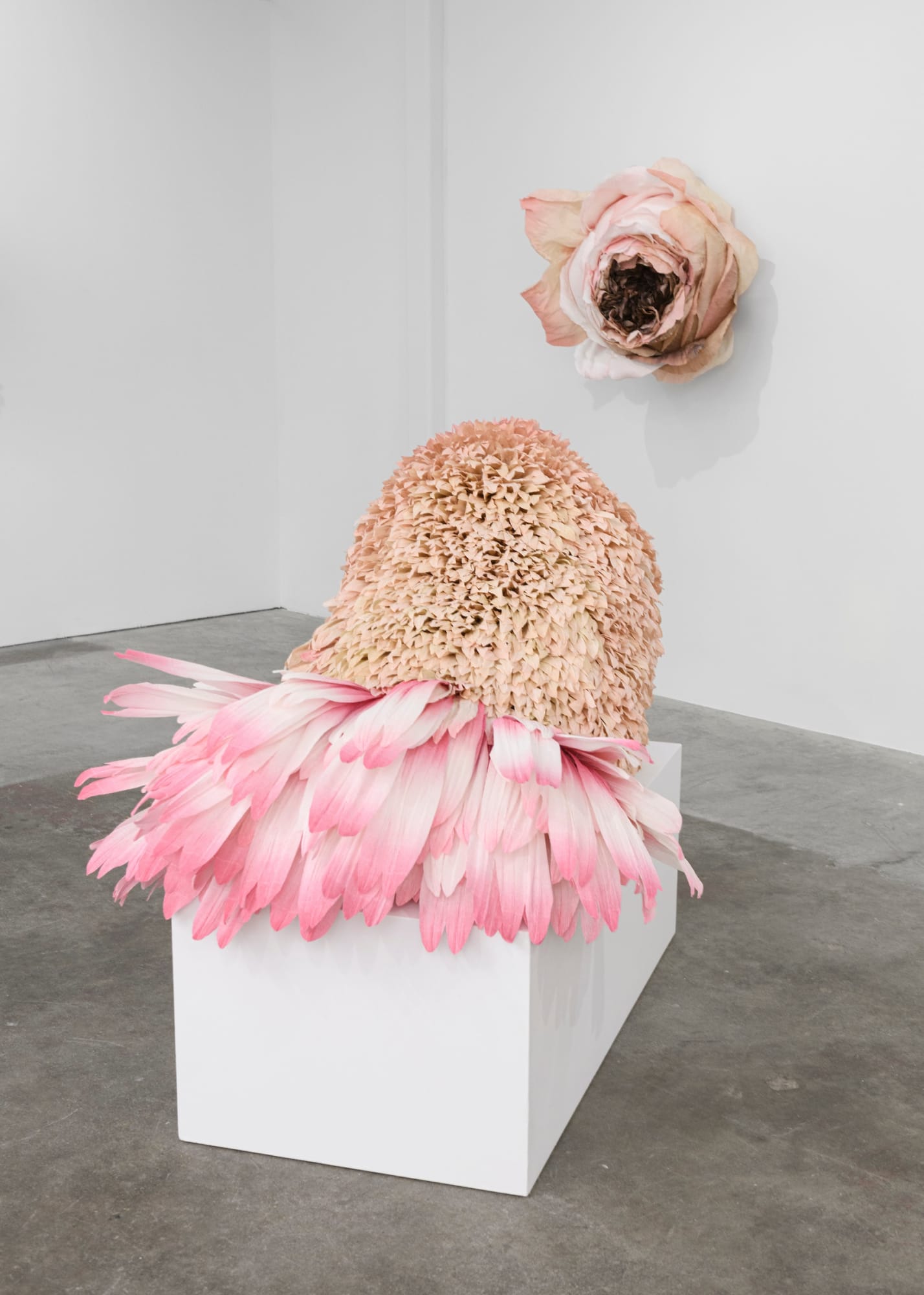 Tiffanie Turner – American Grown