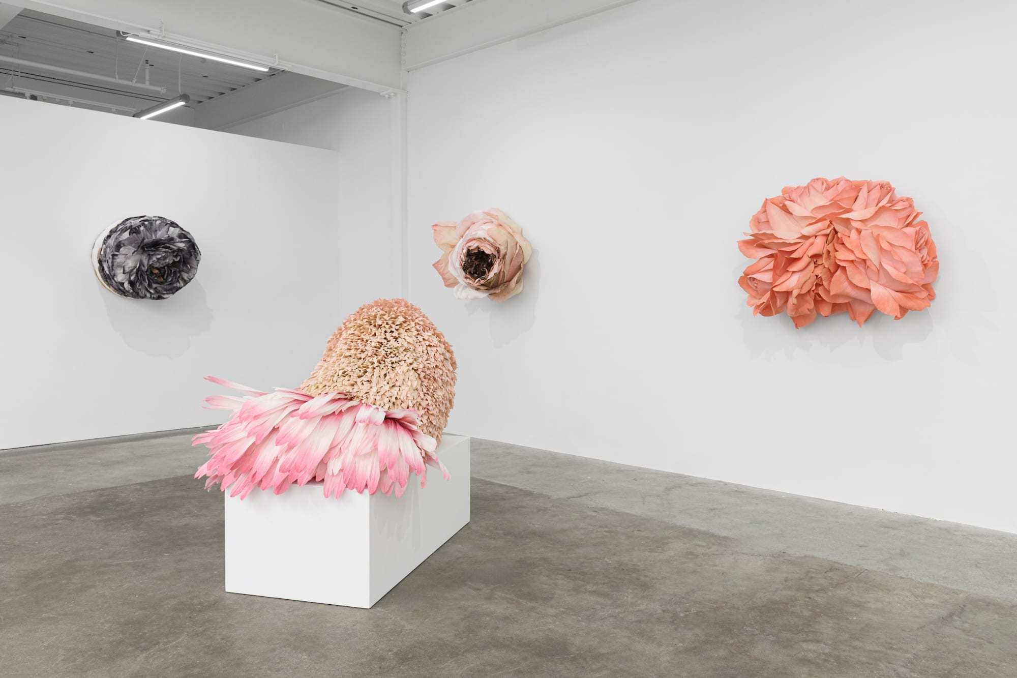 Tiffanie Turner – American Grown