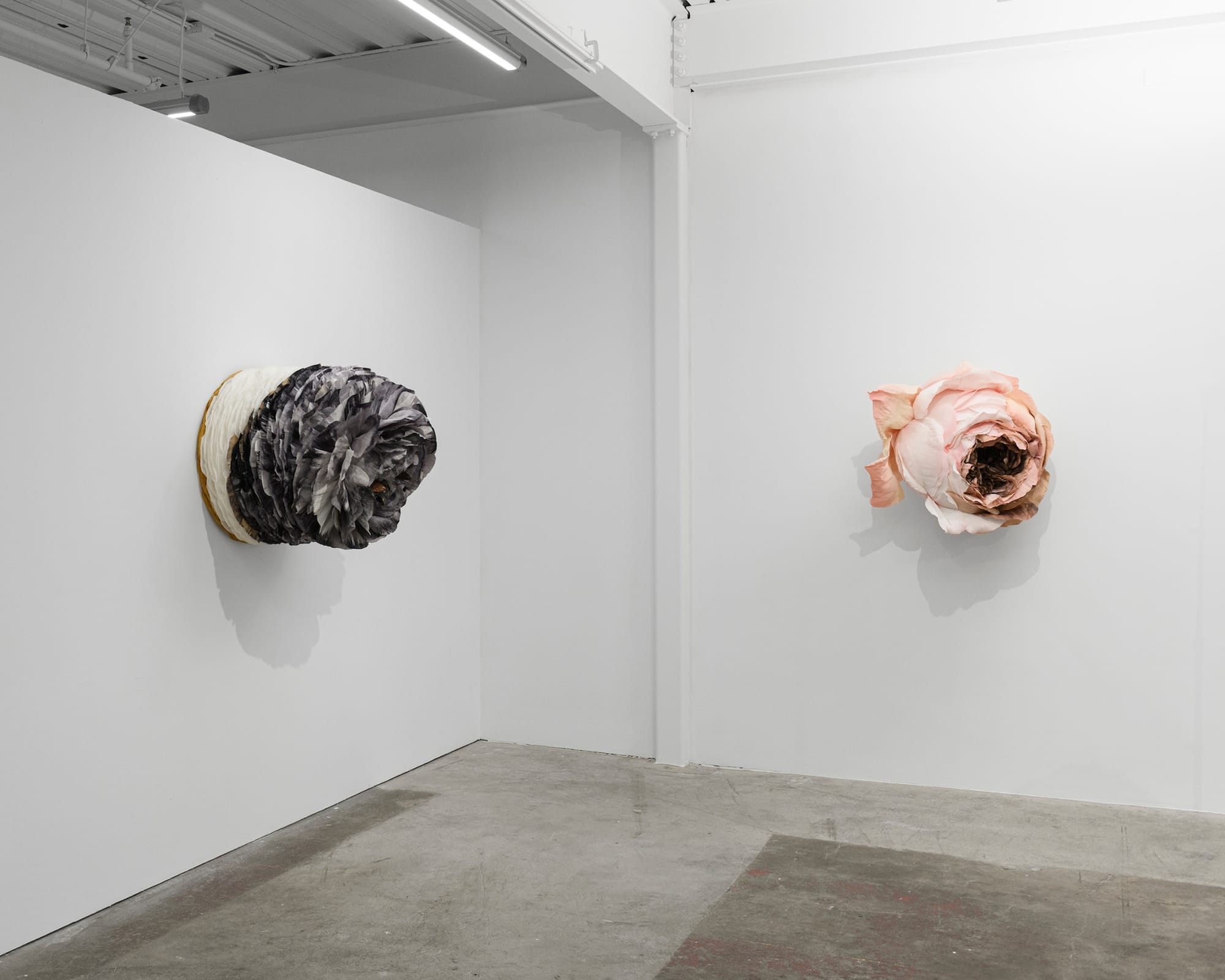 Tiffanie Turner – American Grown