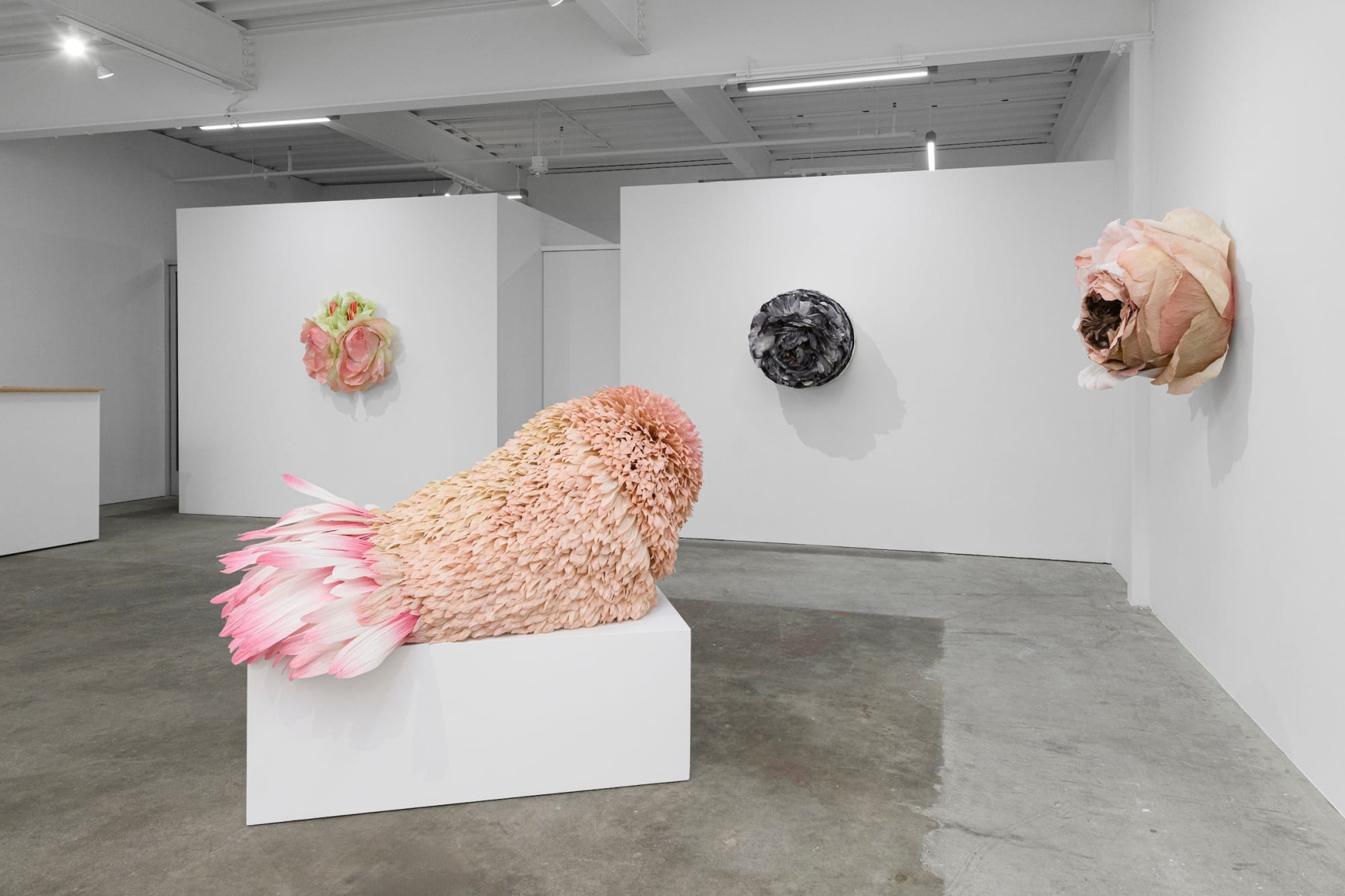 Tiffanie Turner – American Grown