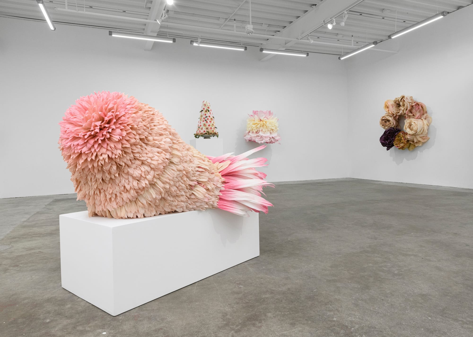 Tiffanie Turner – American Grown