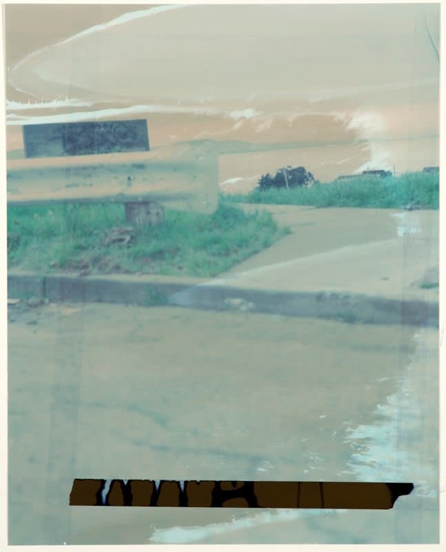 John Chiara – Lands End: Starr King