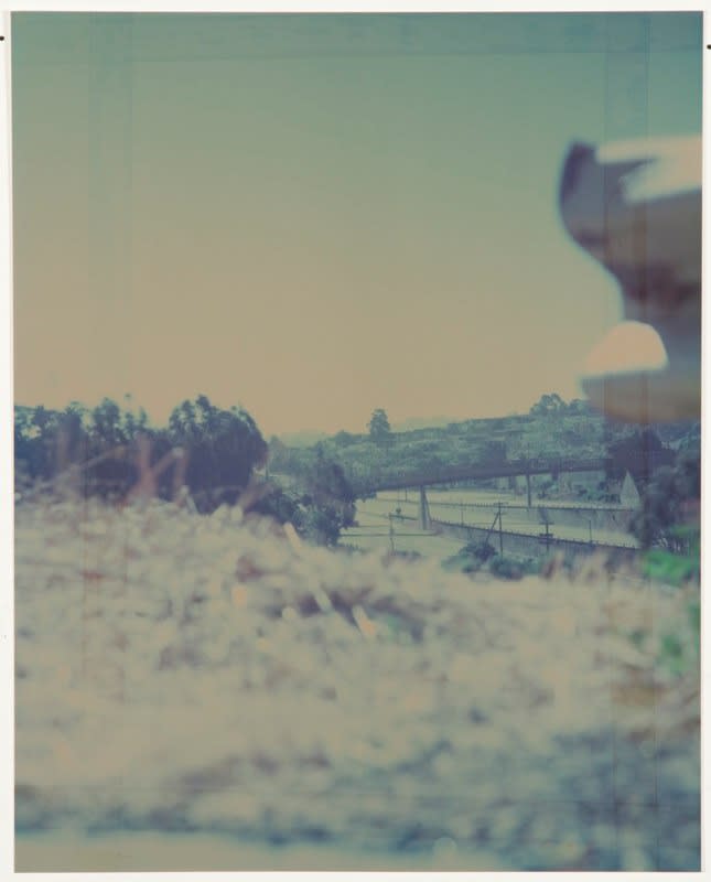 John Chiara – Lands End: Starr King