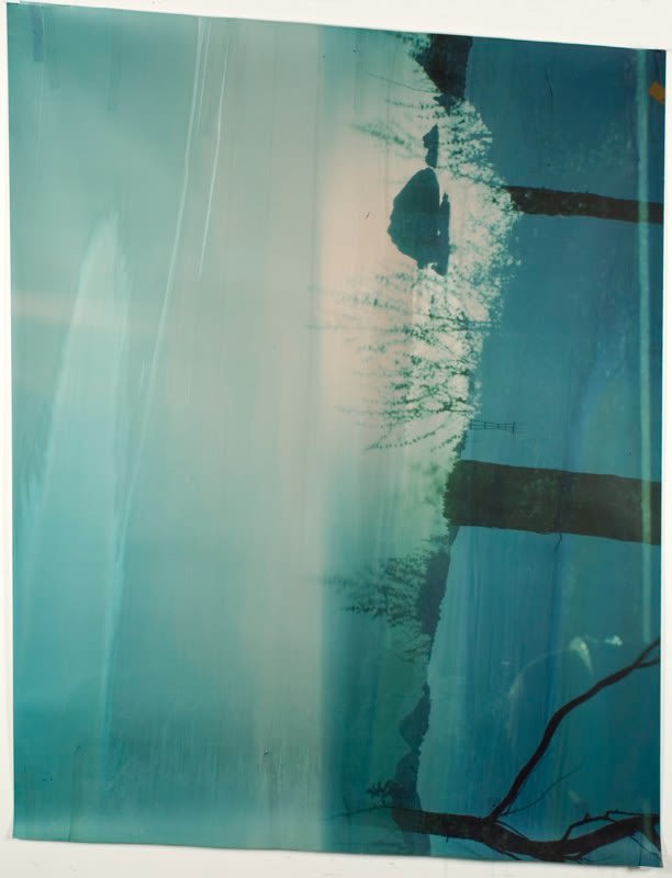 John Chiara – Lands End: Starr King