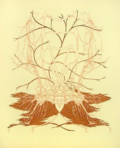 The Biomimicry Project