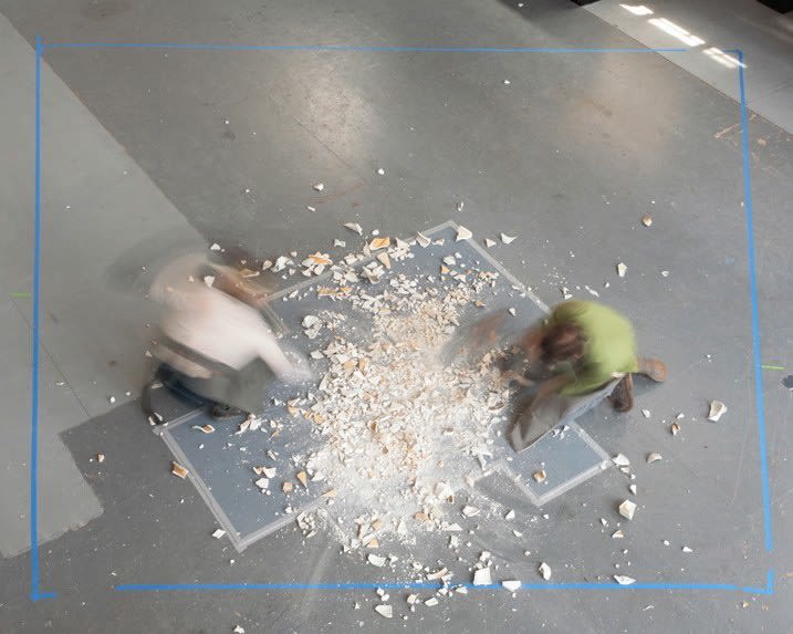 The Biomimicry Project