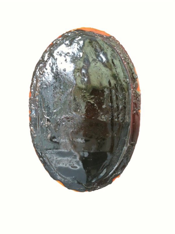 The Biomimicry Project