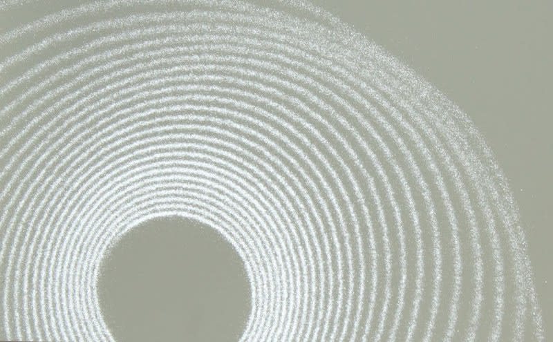 Gareth Spor – New Work