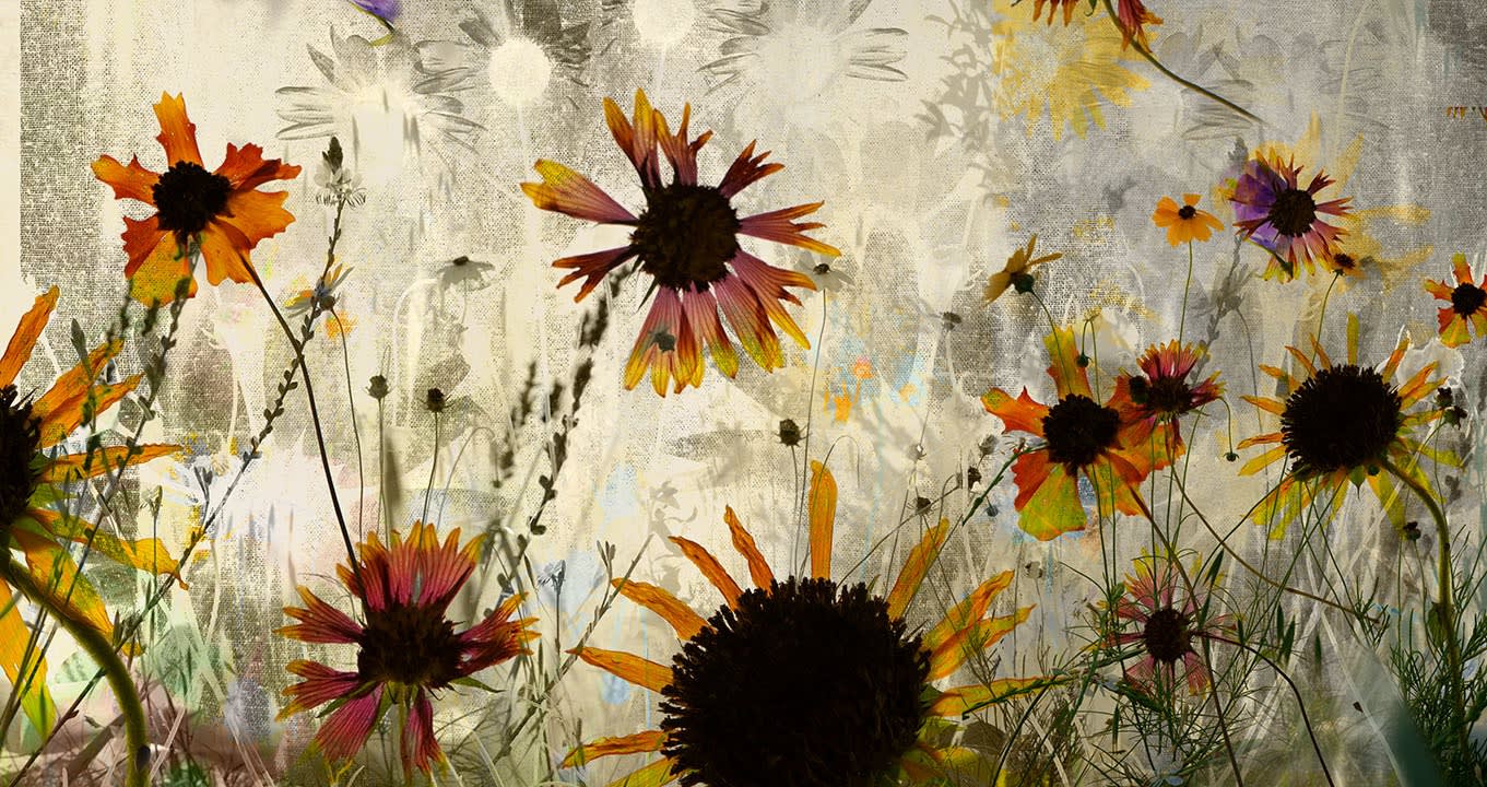 Elizabeth Chiles: Bread and Roses