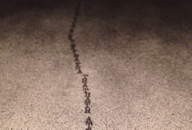 Hugo Frasa, ARTARTAÐ¯, 2007 (detail), Courtesy Galeria Emma Thomas