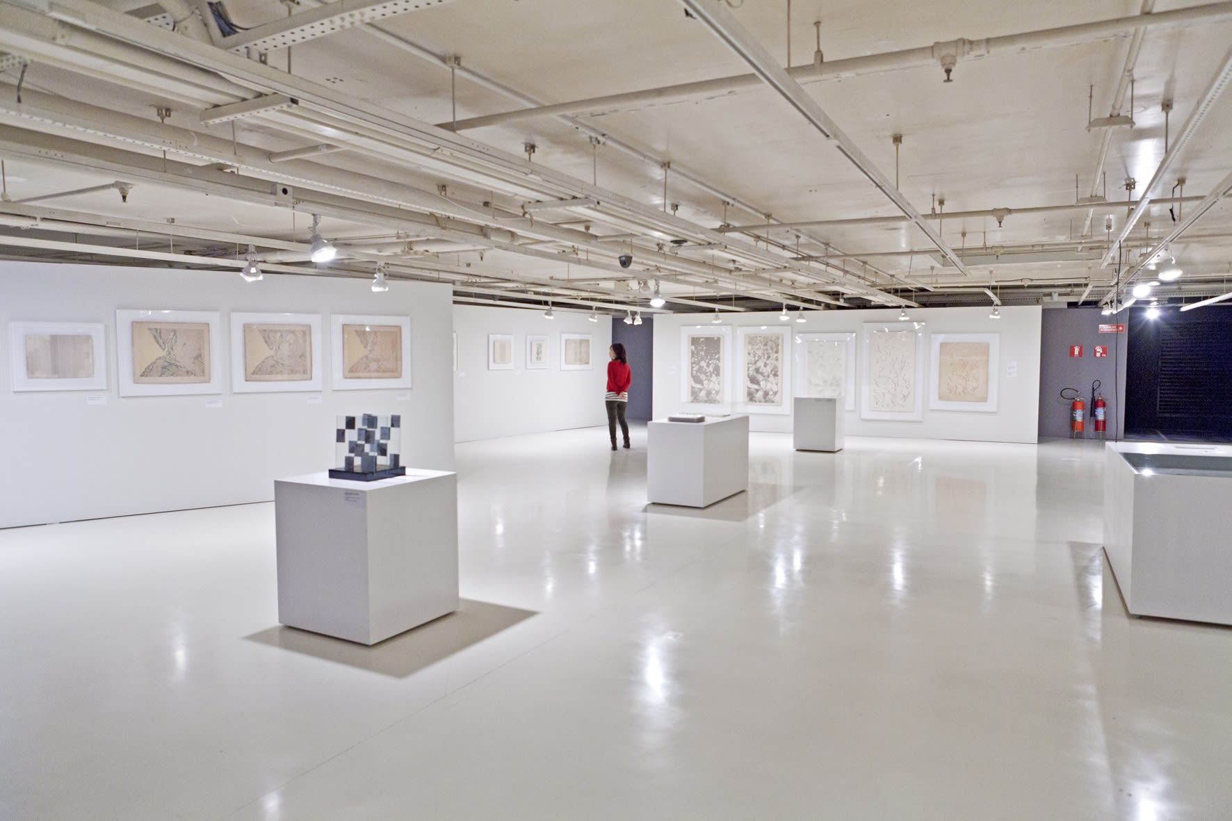 Waldemar Cordeiro: Fantasia Exata, Itaú Cultural, São Paulo, 2013