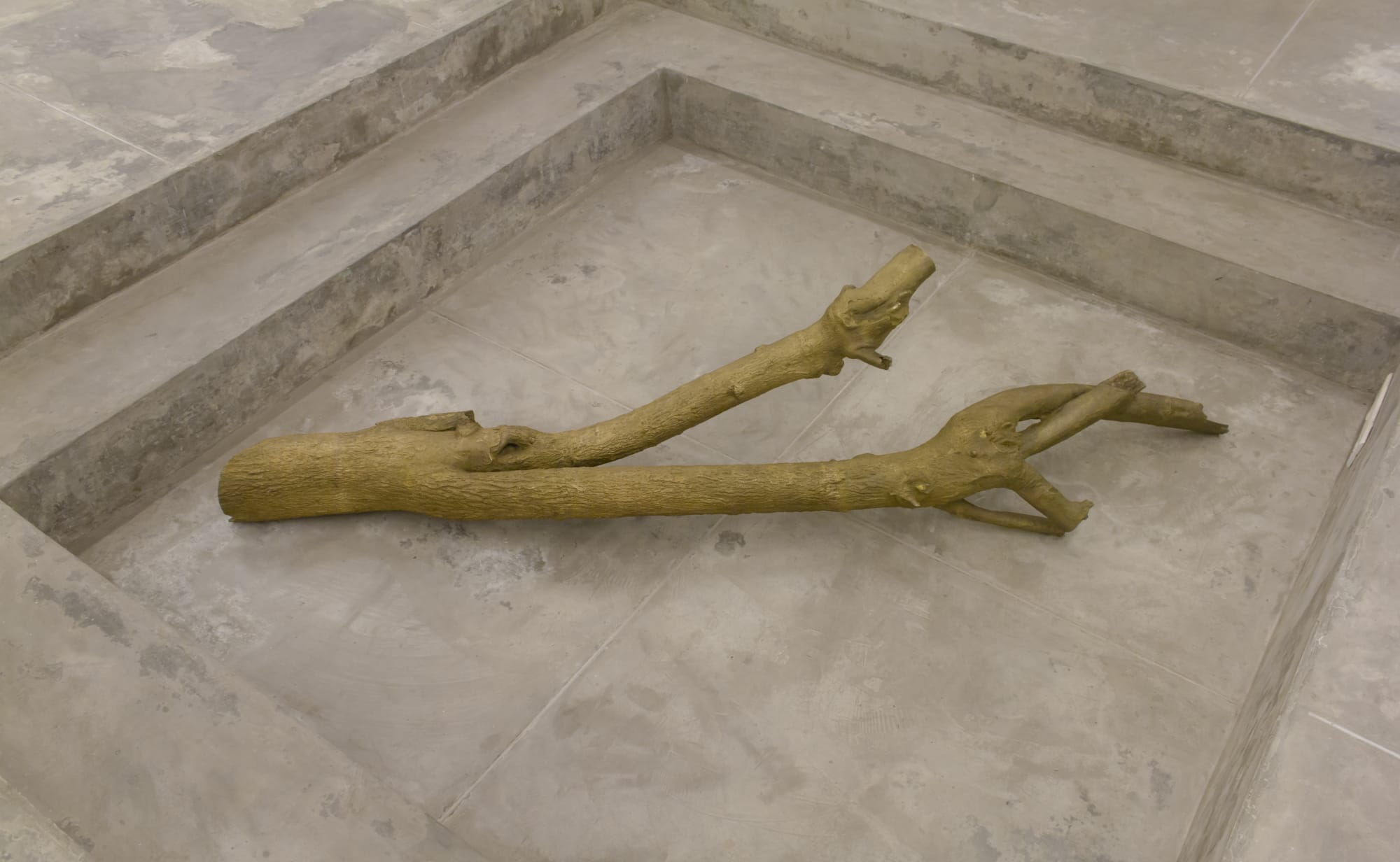 Nestled: Adip Dutta and Meera Mukherjee | Experimenter-Hindustan Road | January 22 - March 31, 2021