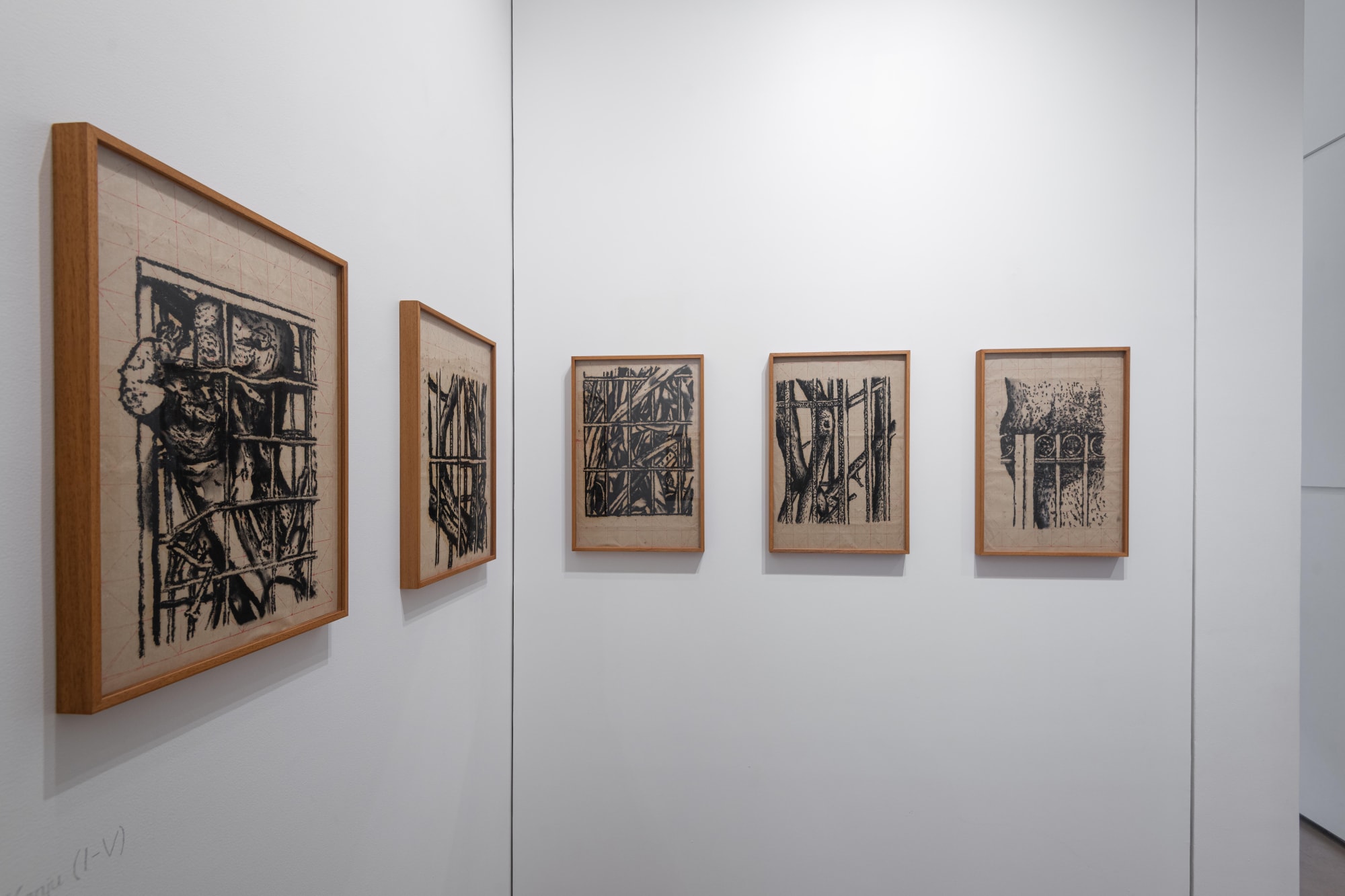 Julien Segard & Rathin Barman | Eyes of the Skin