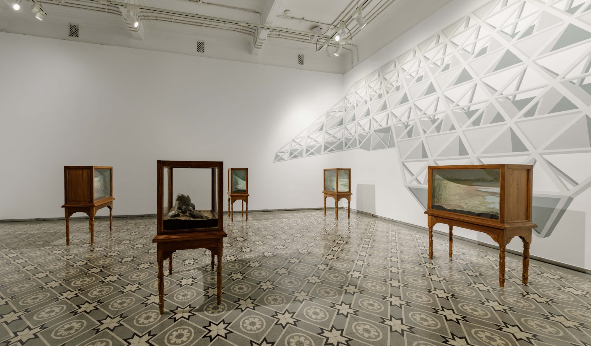 Sahil Naik | Specters, Specimens and Ships in Doubt
