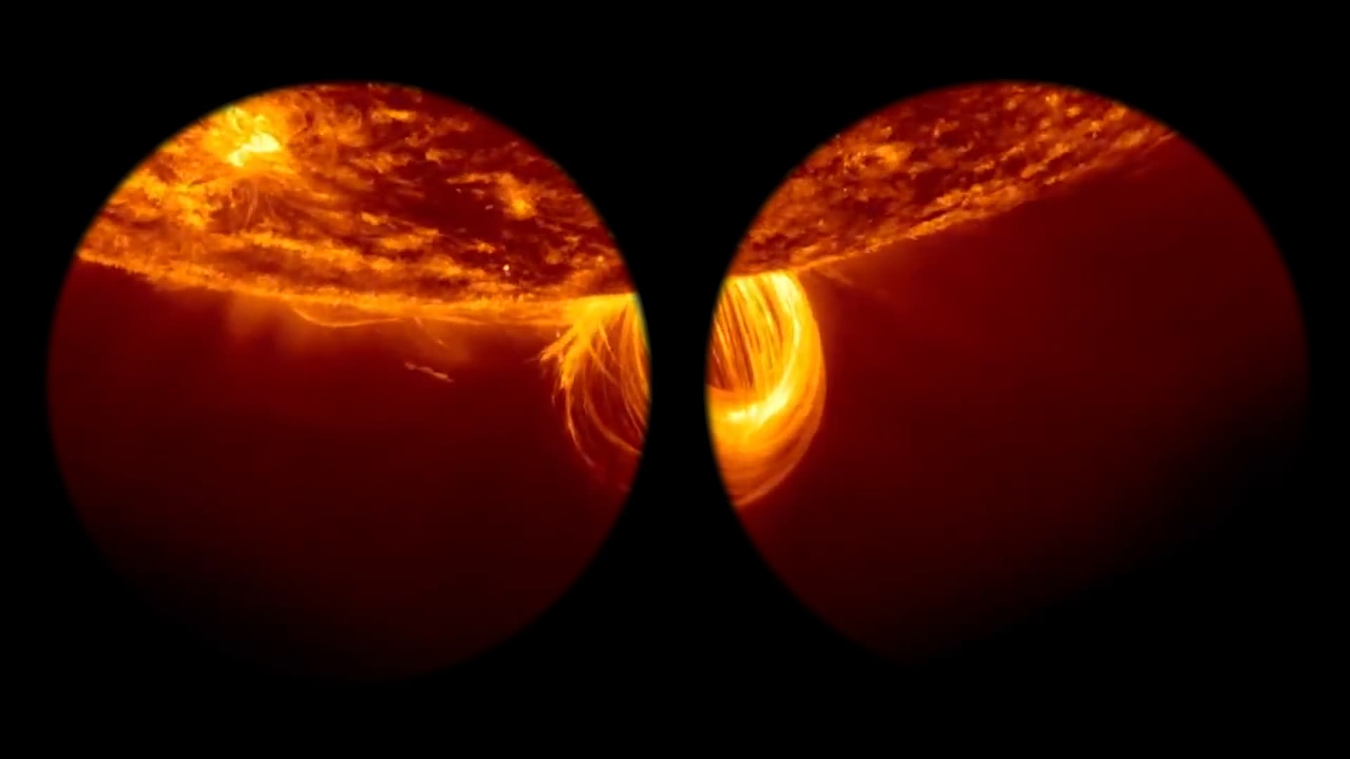 Filament | Online Film Exhibition | Part 3