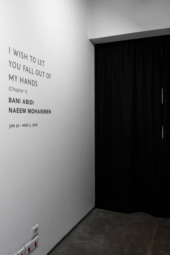 I wish to let you fall out of my hands (Chapter I) | Bani Abidi | Naeem Mohaiemen