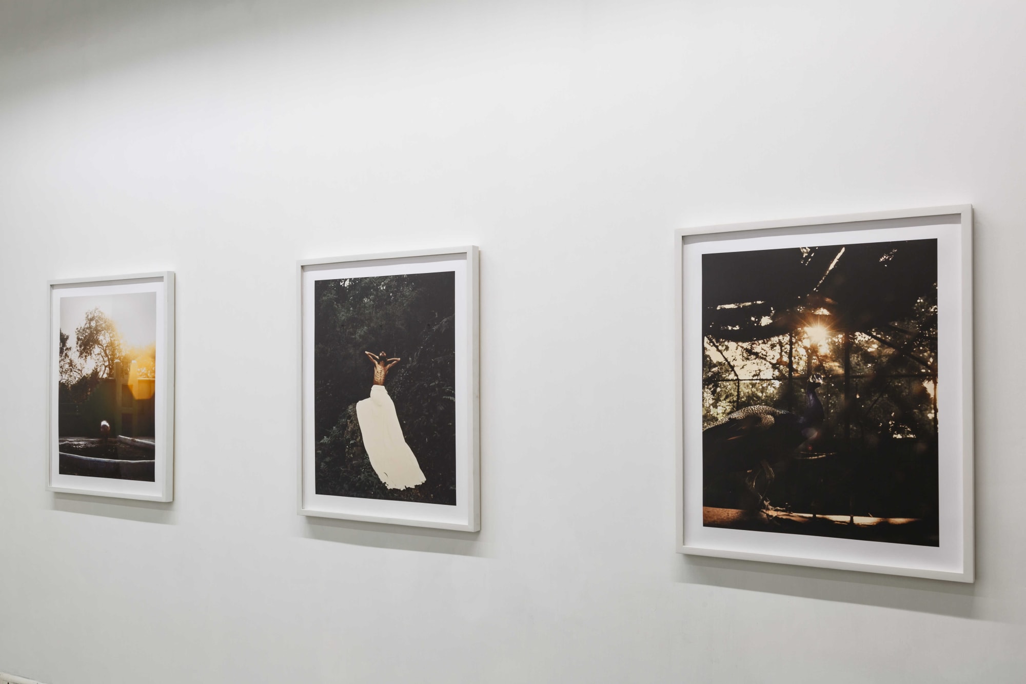 Soumya Sankar Bose | Full Moon on a Dark Night