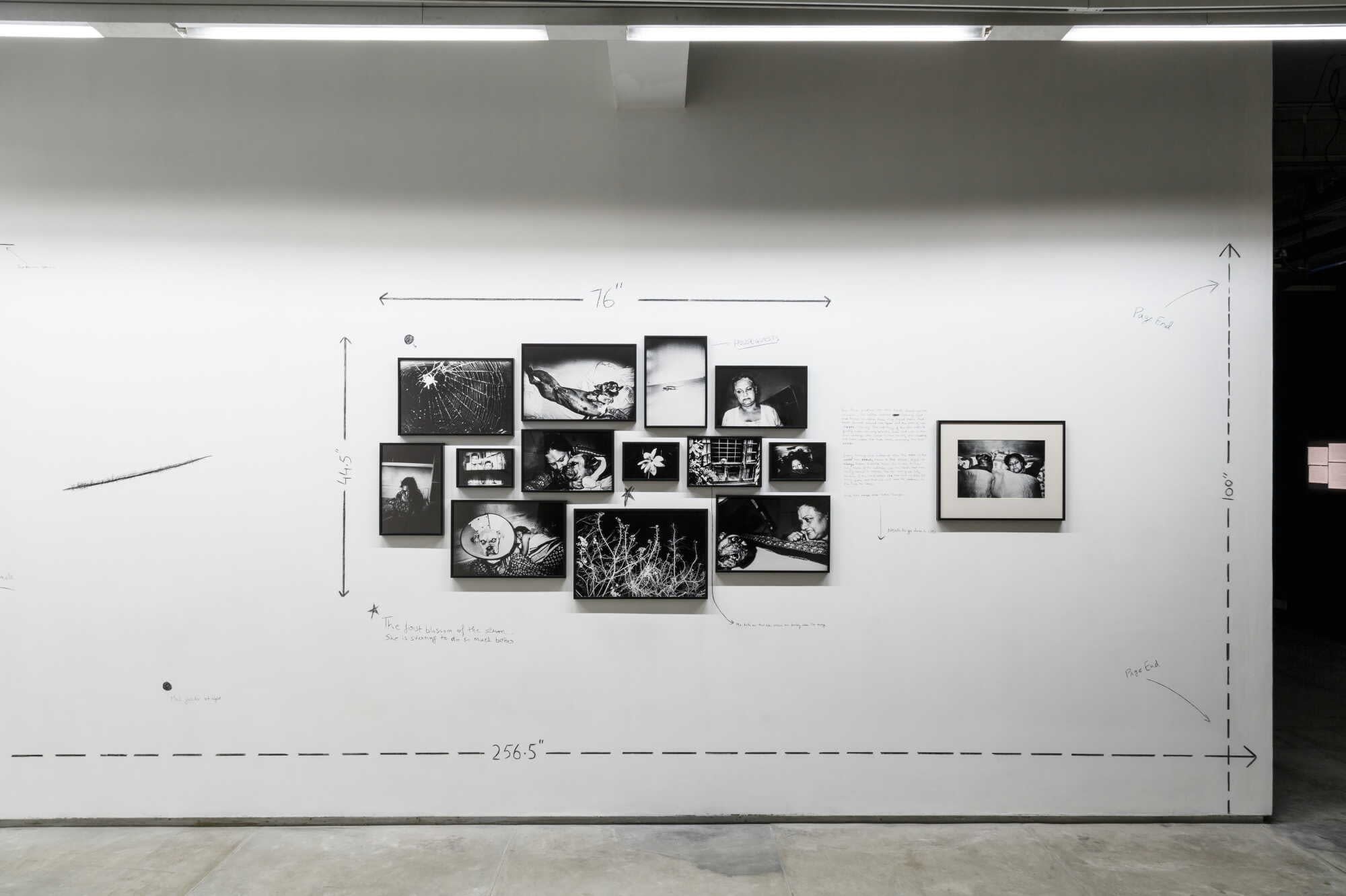 Sohrab Hura | Sweet Life