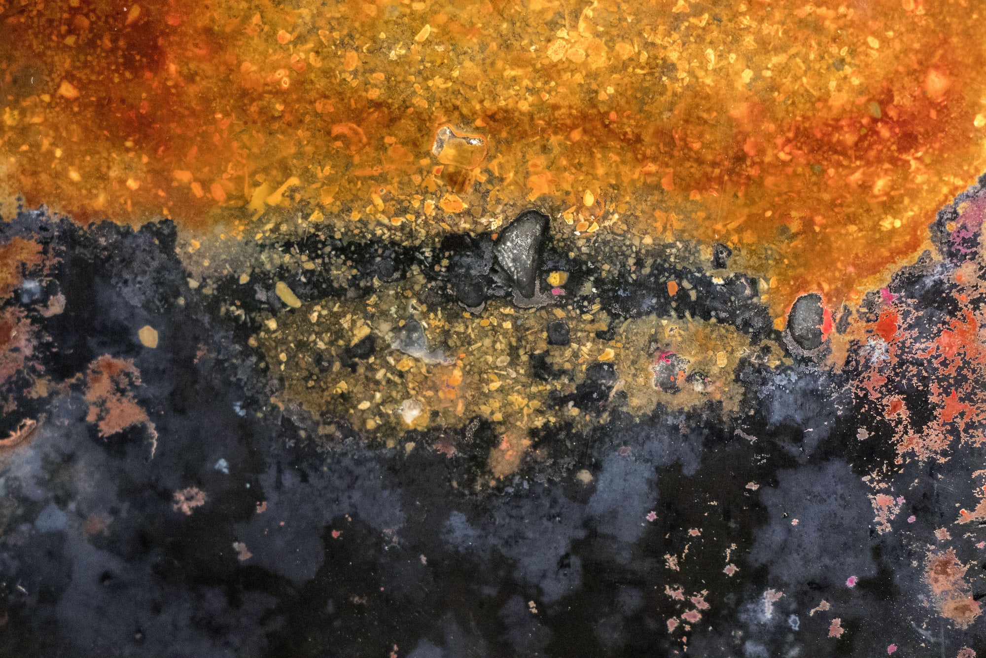 Speculative Harbouring, Living Landscapes VII