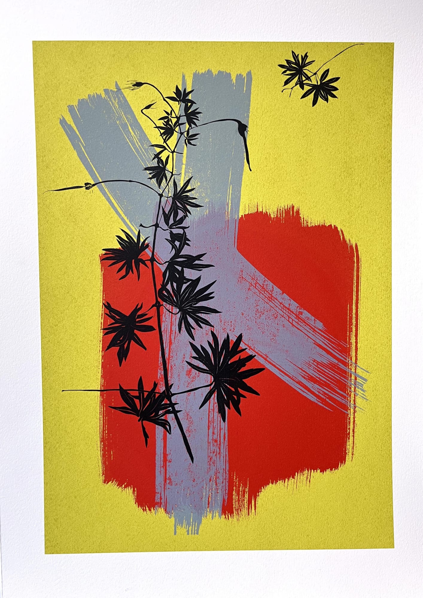 Jenny Findlay, Transplanted, 2024