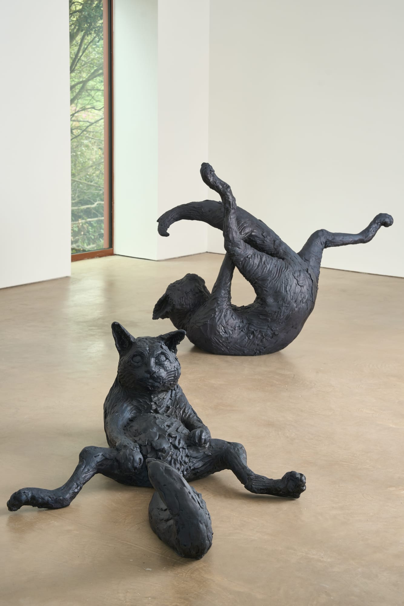 LAURA FORD: REVEAL AND CONCEAL