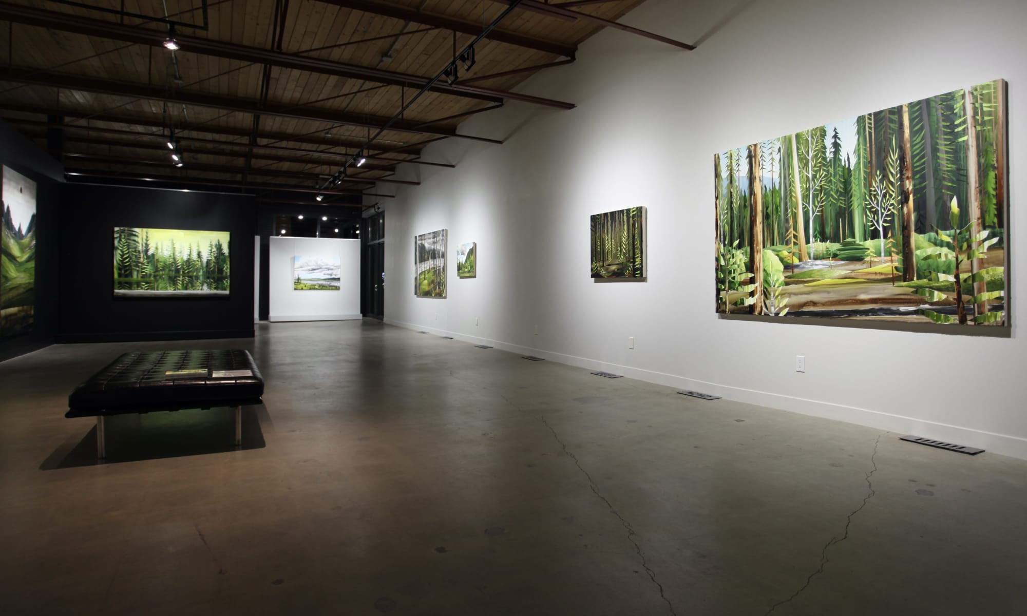 Gavin Lynch: Land of the Midnight Sun