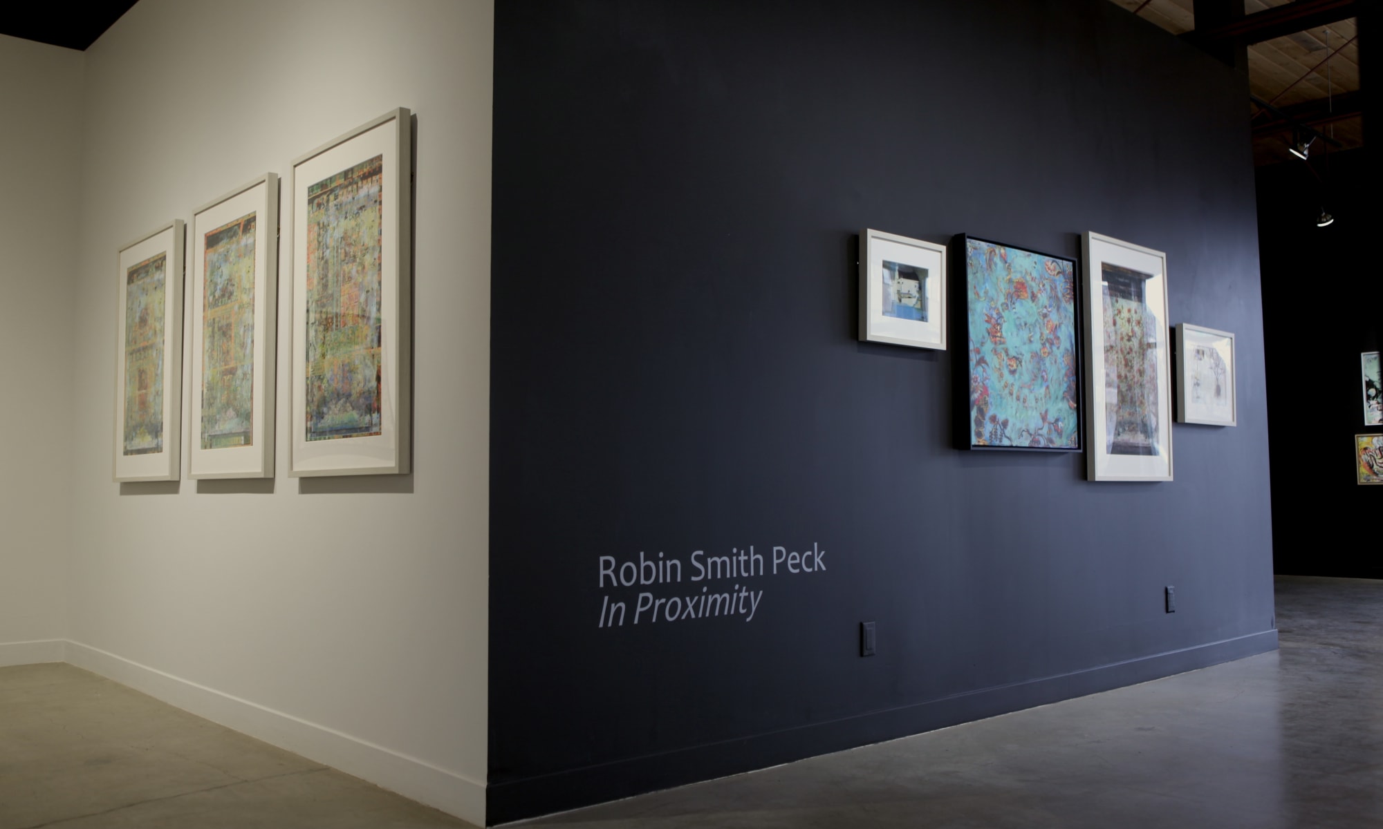 Robin Smith Peck: In Proximity