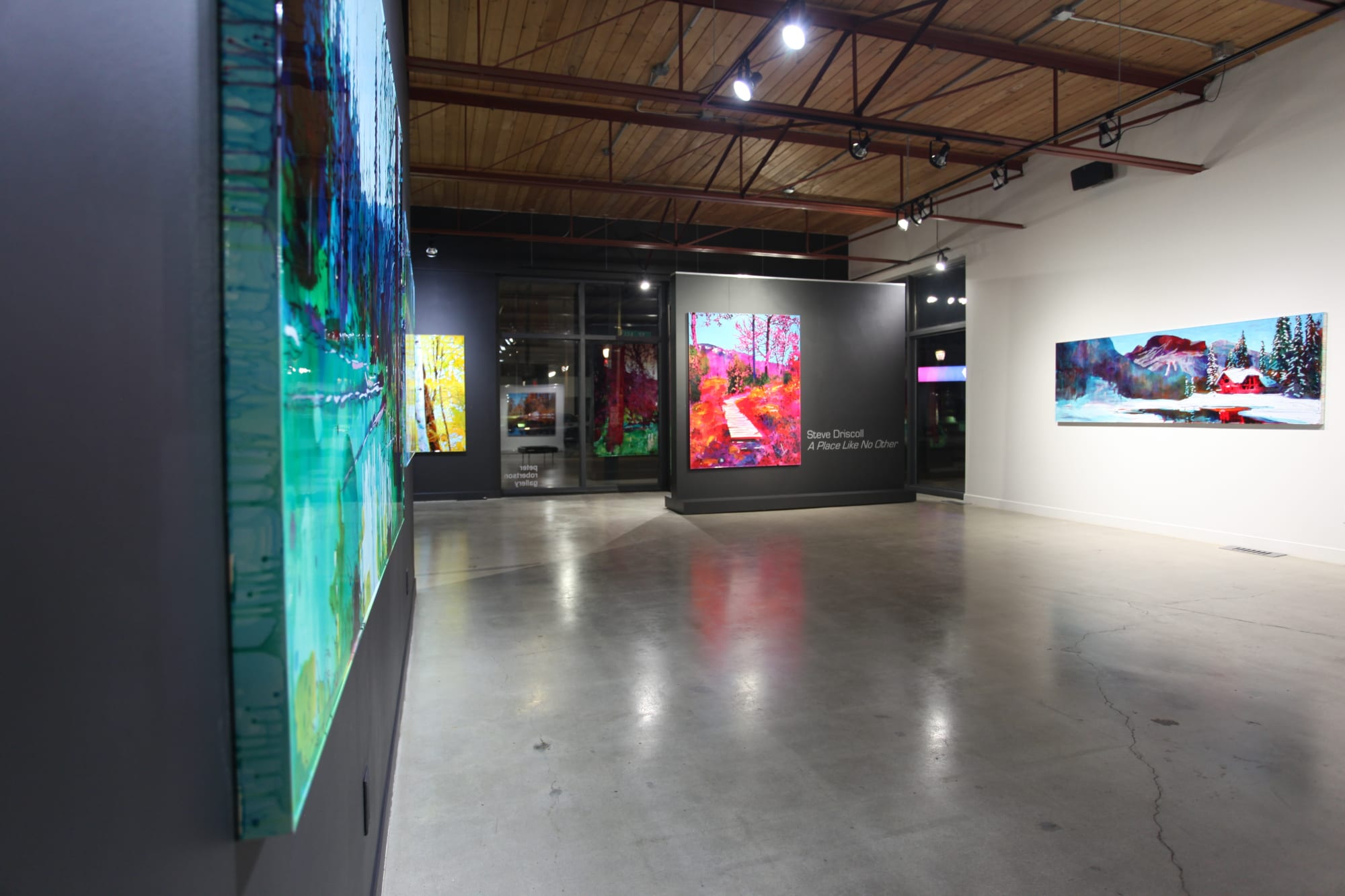 Steve Driscoll: A Place Like No Other