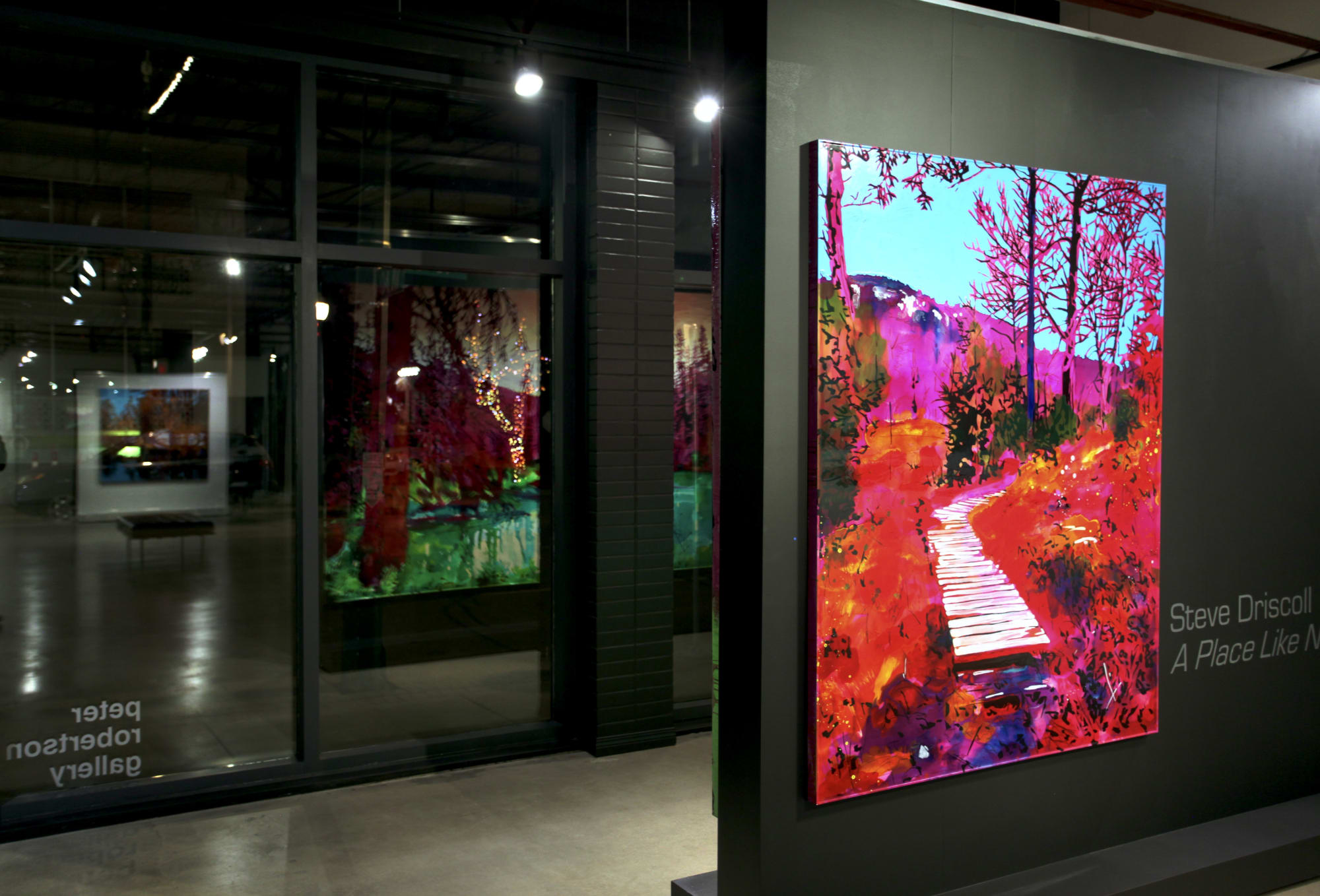 Steve Driscoll: A Place Like No Other