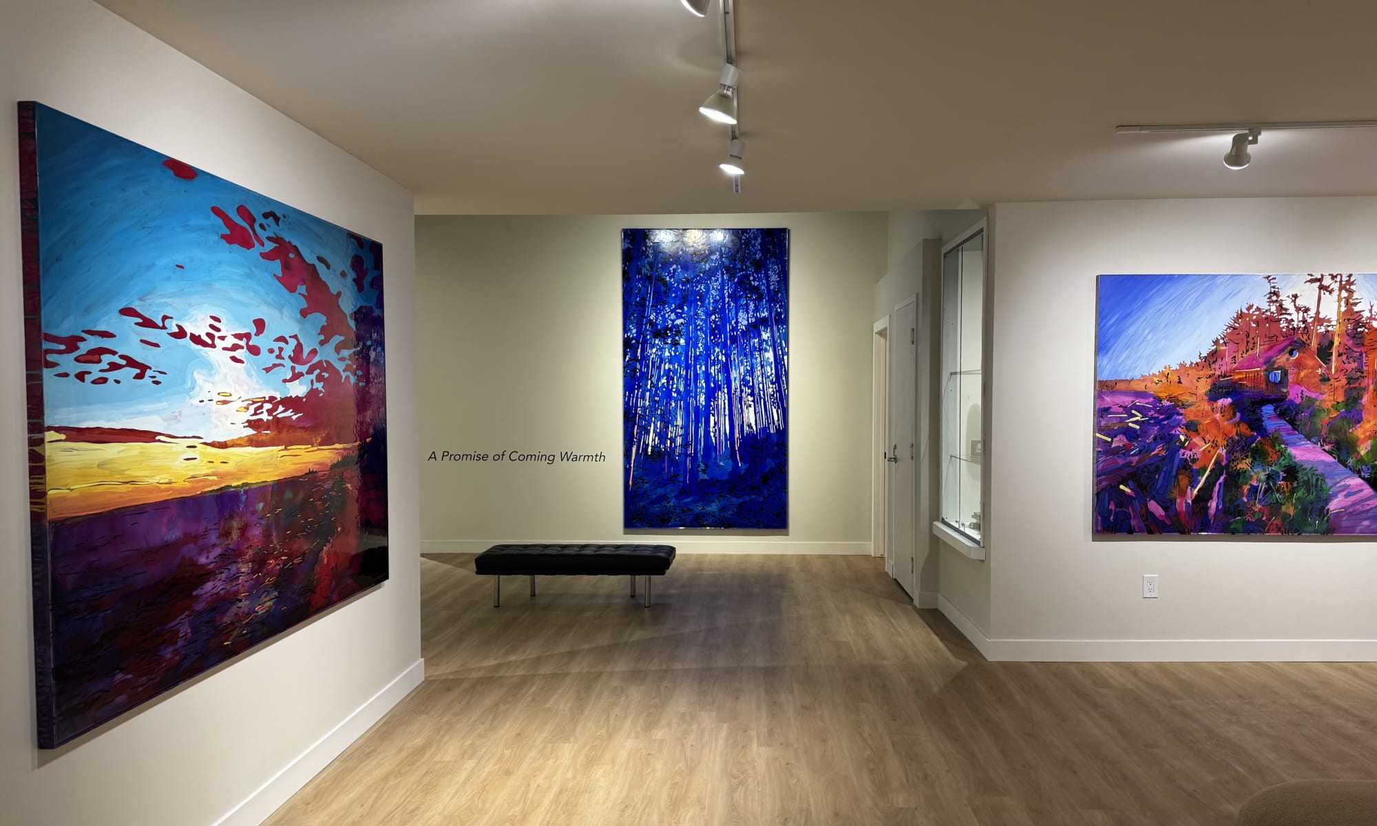 Steve Driscoll: A Promise of Coming Warmth