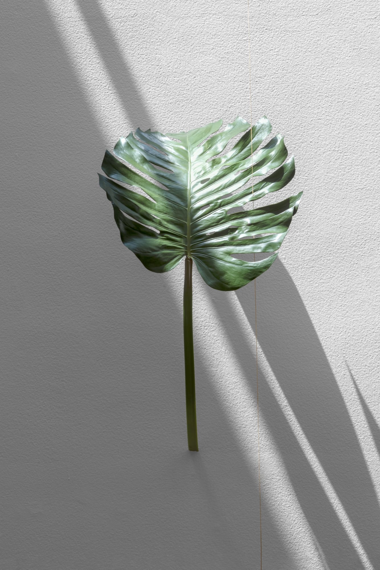 Tania Pérez Córdova, Monstera, 2022