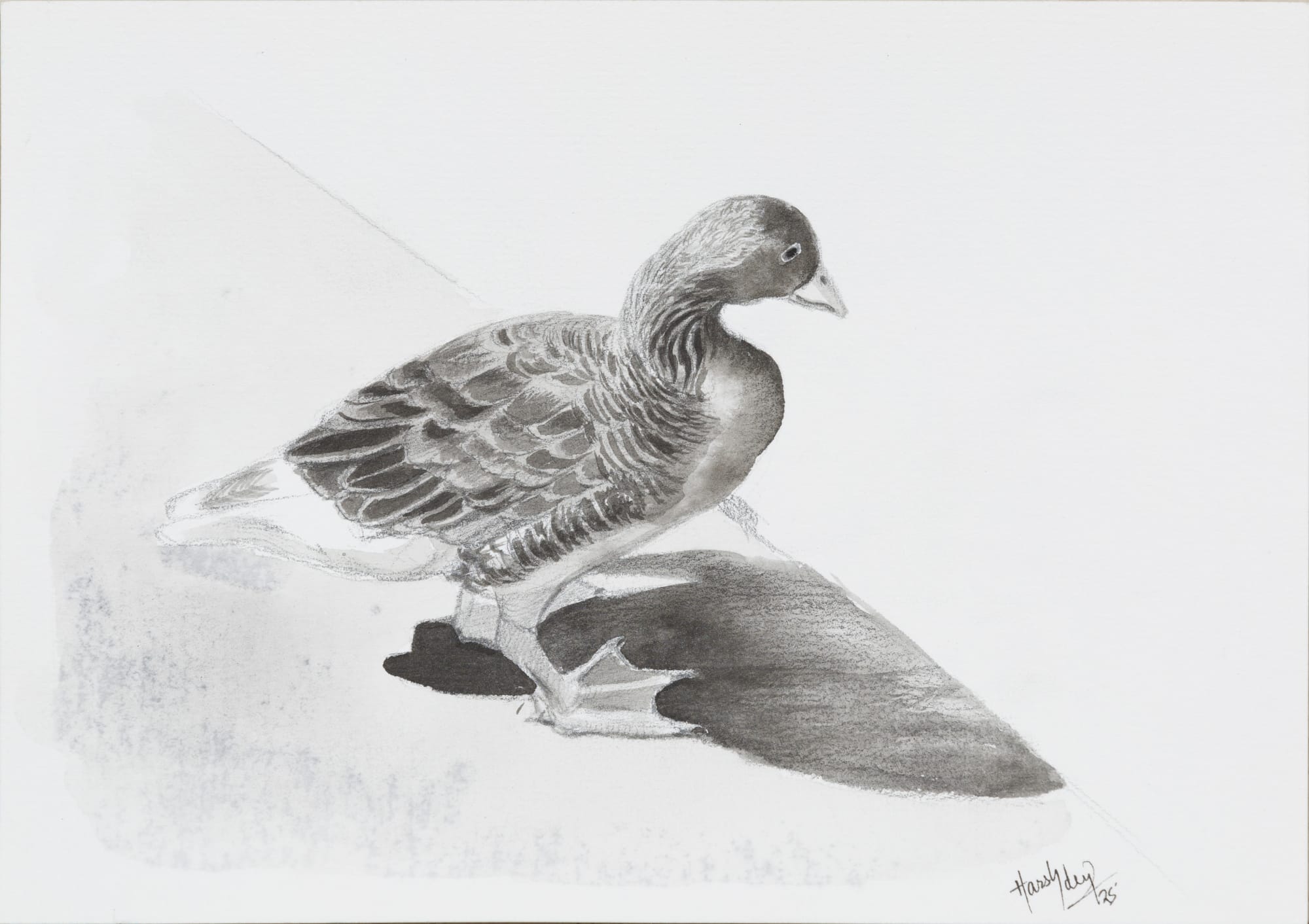 Harshdeep Kaur Pondering Ink on paper 6 x 8.5 inches 2025