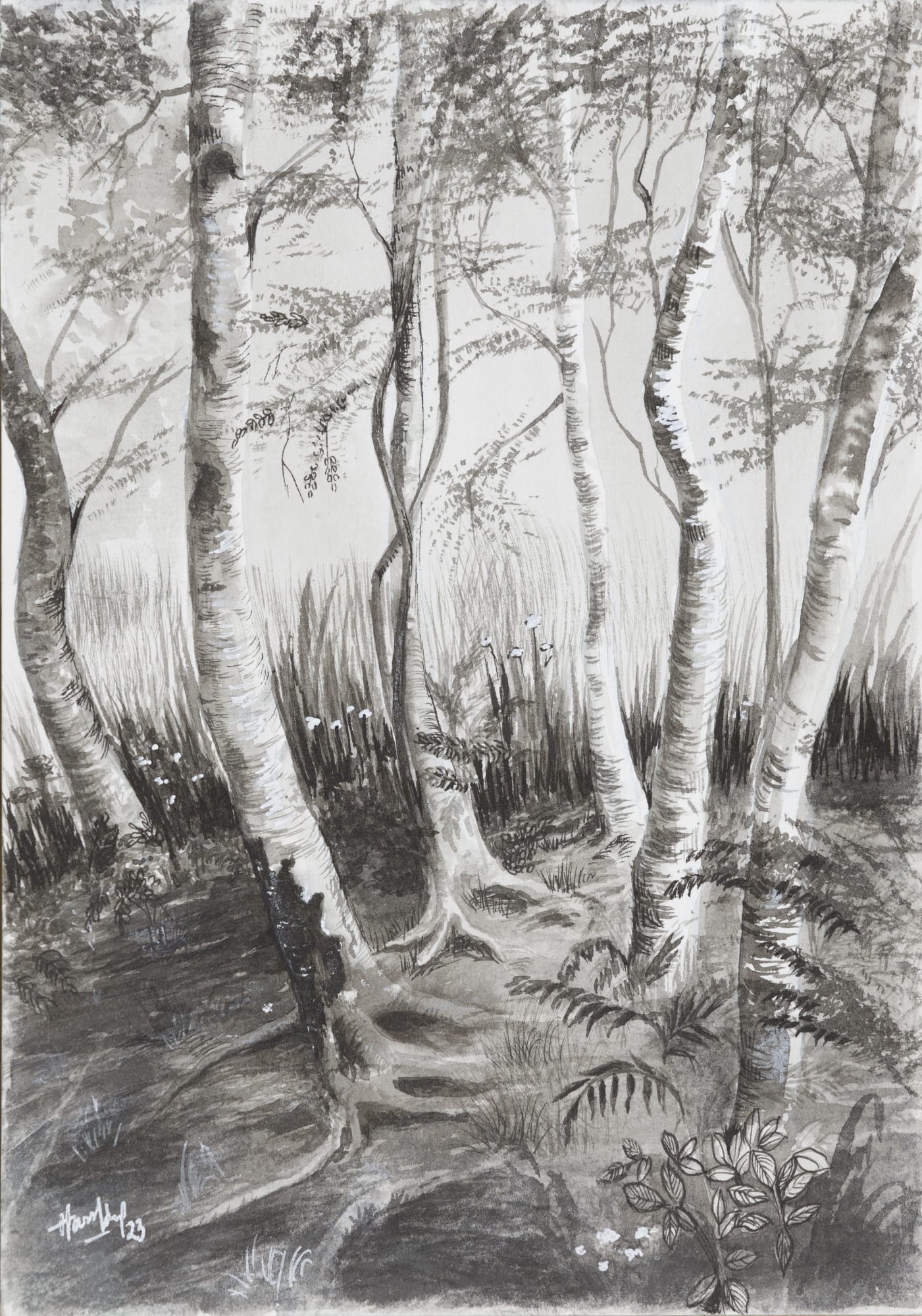 Harshdeep Kaur Birch Woods Ink on paper 8.5 x 6 inches 2023