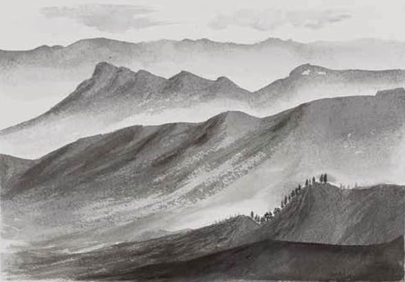 Harshdeep Kaur Nature’s Silhouette Ink on paper 14 x 19.8 inches 2025