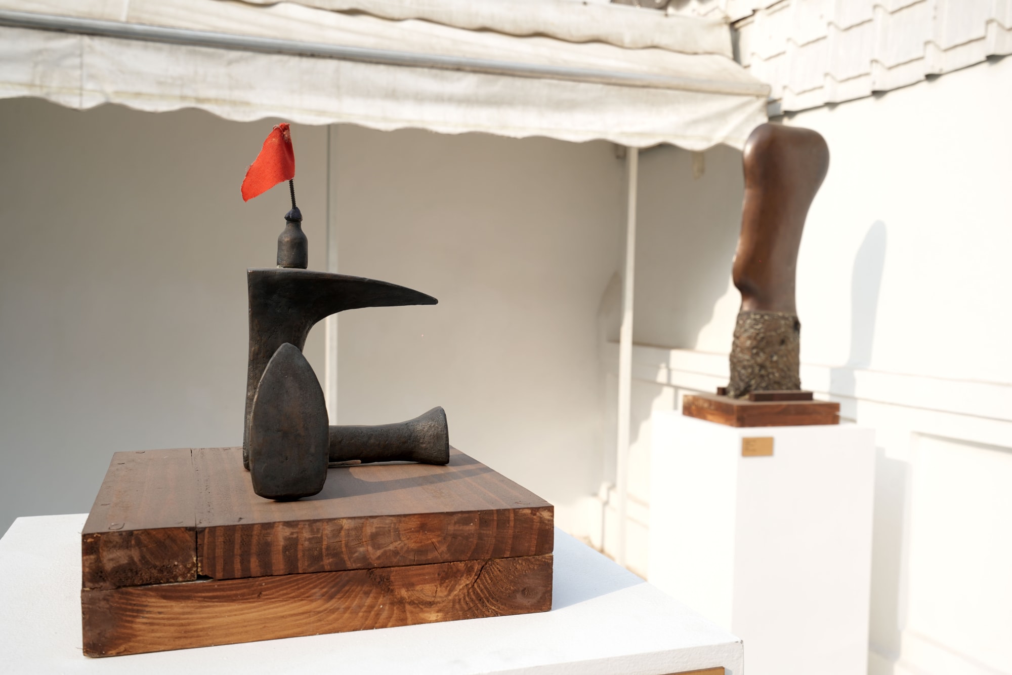 Raza and His Contemporaries