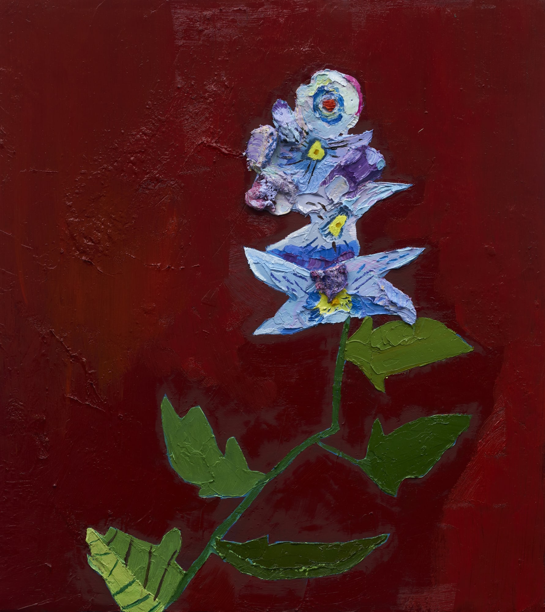 Nabeeha Mohamed - Same Sky, Different Fruit