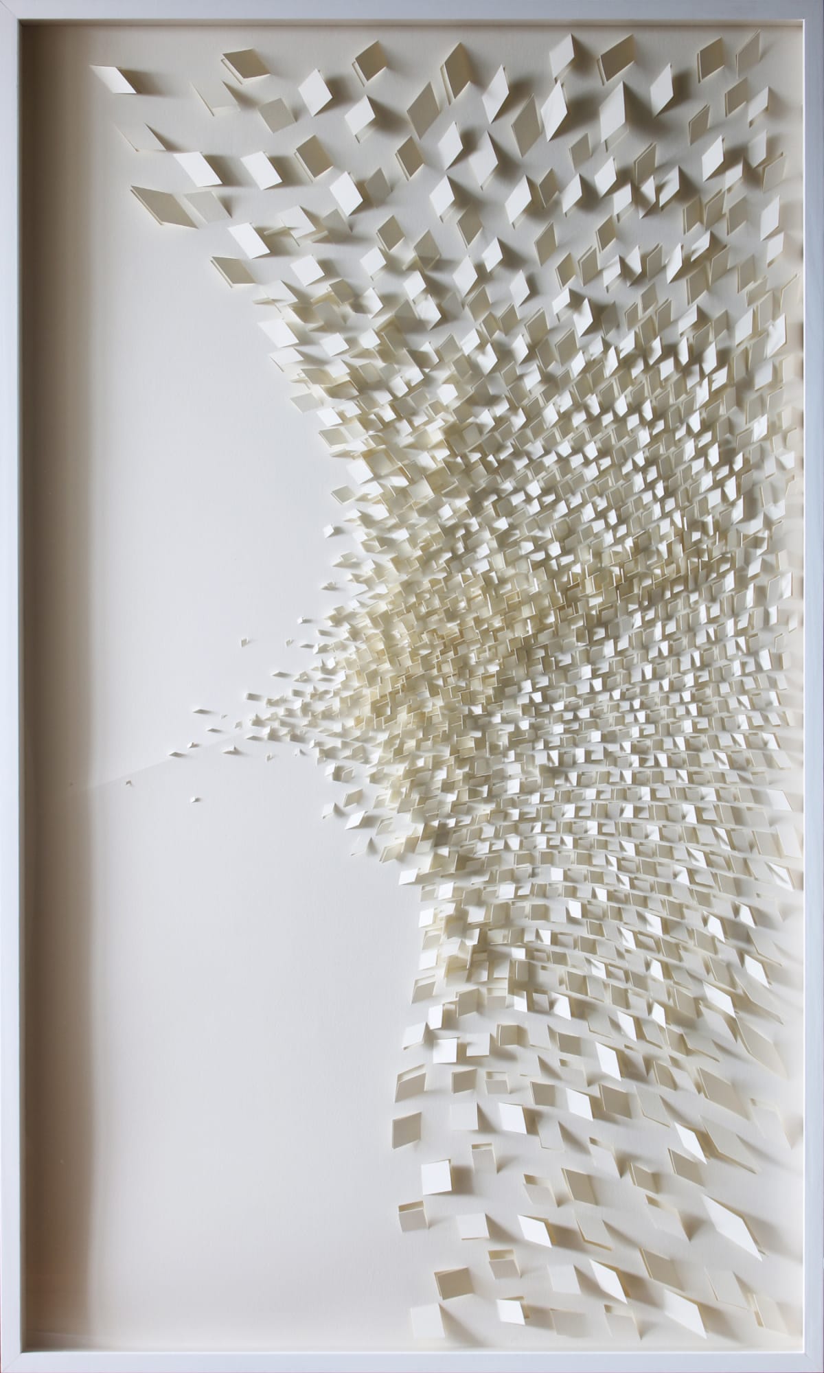 SILENCE & SHADOW | SACHIN TEKADE