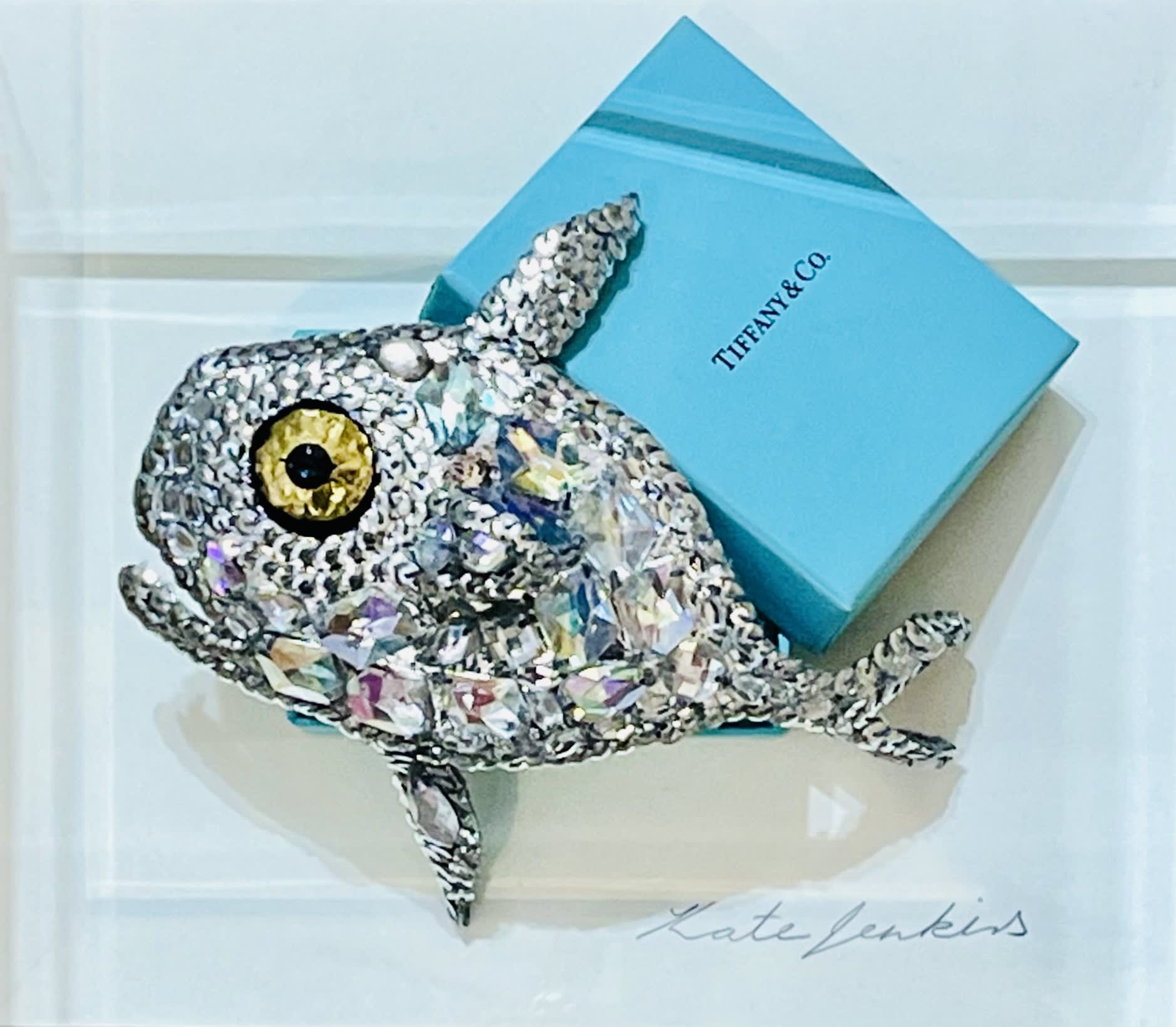 Kate Jenkins, Diamond Fish